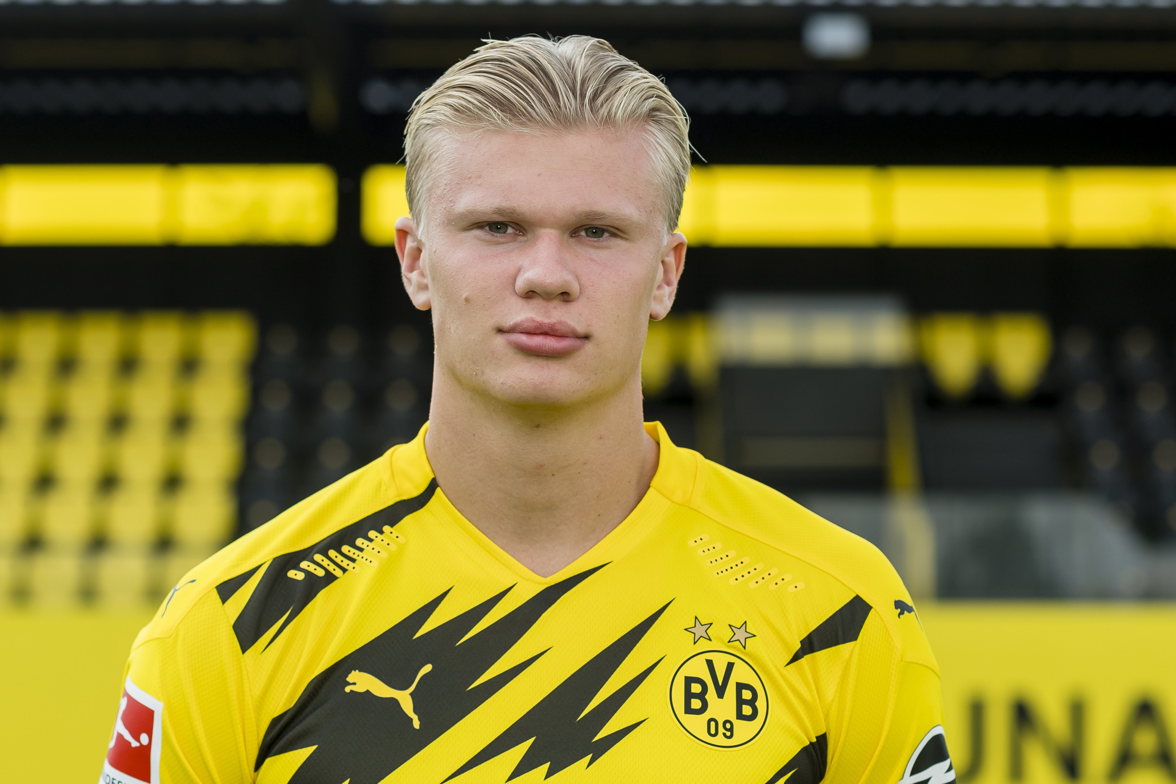 可能强调 可能强调