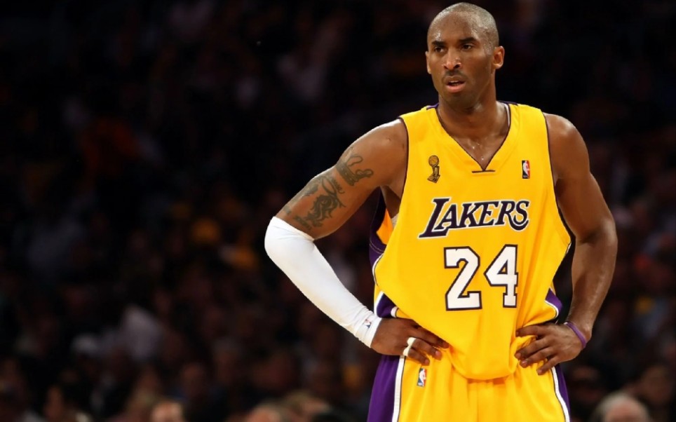 展示了顶级 展示了顶级